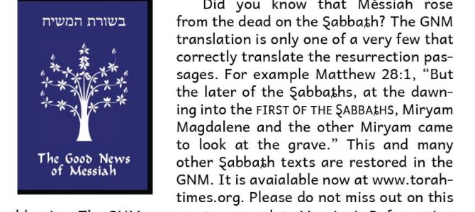 Matthew 28:1 – Messiah rose on The First of the Sabbaths NOT First Day of the Week